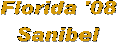 Florida '08
Sanibel

